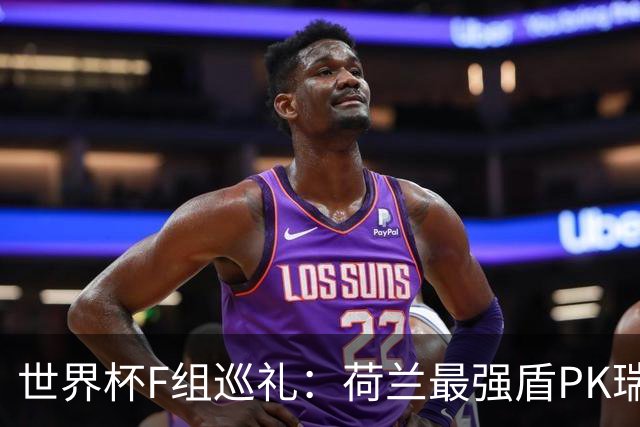 世界杯F组巡礼：荷兰最强盾PK瑞典犀利刀 日本短板明显